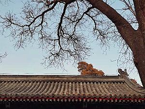2023 02 05  PEKIN - WANSHOU TEMPLE LONGEVITE BIENVEILLANCE (17)